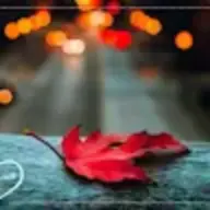 xxx55bb
