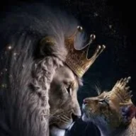 william4f1