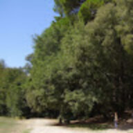 testeurduturfum