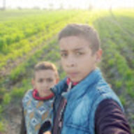 Ghjdx