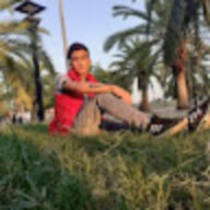 فحل الكحبه