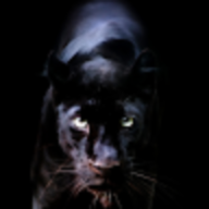Mohamed_D