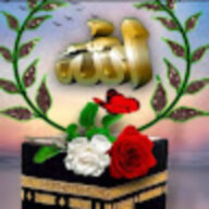 Salih