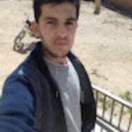 sham11