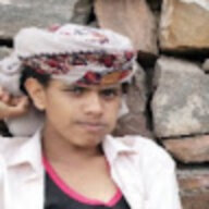 سلطان امين