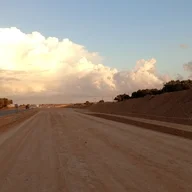 فحل77