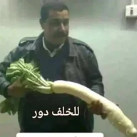 mahmoudsalah001984