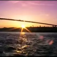الدكتور محمد
