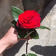 مجد عساف