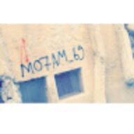 Moooot