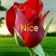 حسن الوحش