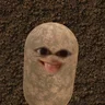 مودي الموجوع