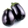 elzozo