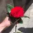 مجد عساف